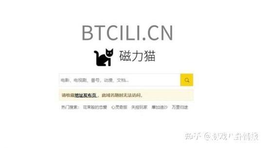 种子搜索引擎磁力岛资源获取指南